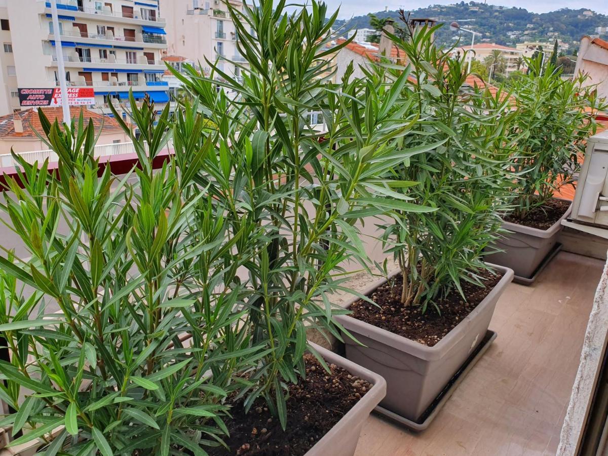 Hotel Brimer Cannes Luaran gambar